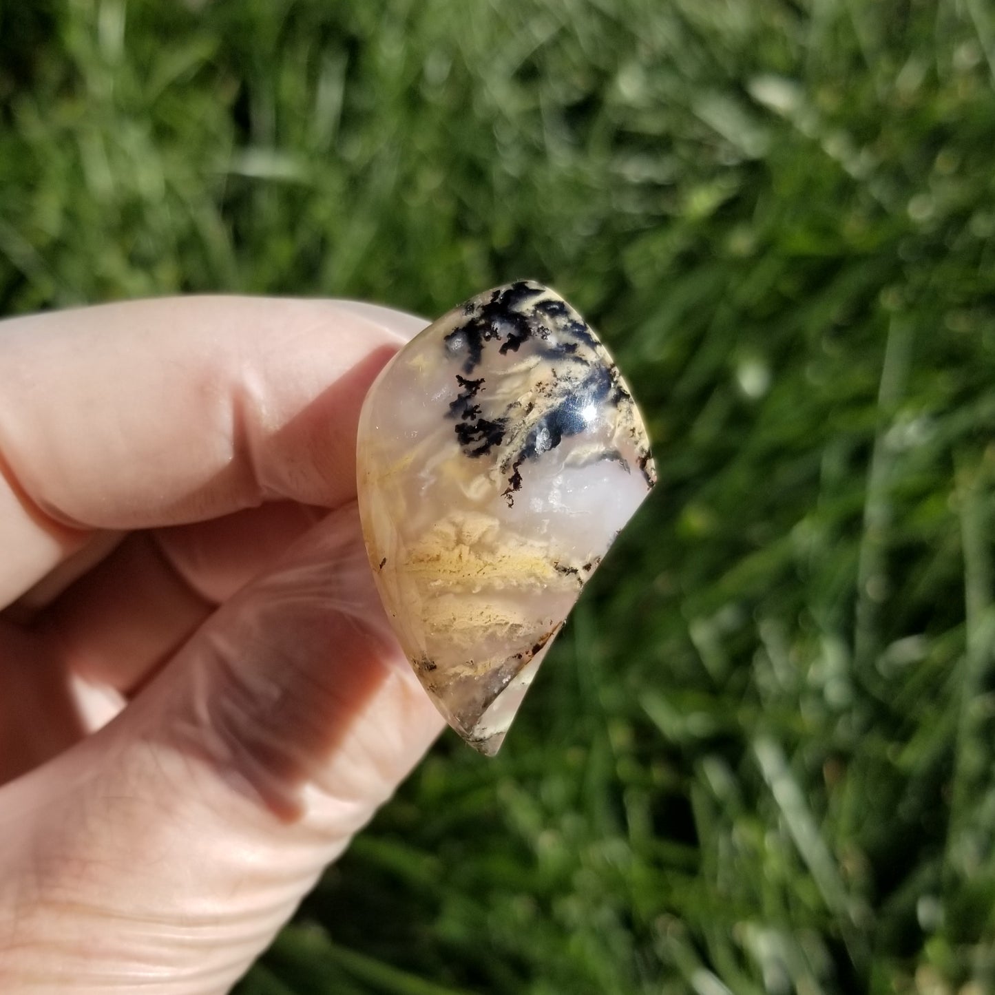 Dendritic Tiger Plume Agate Cabochon