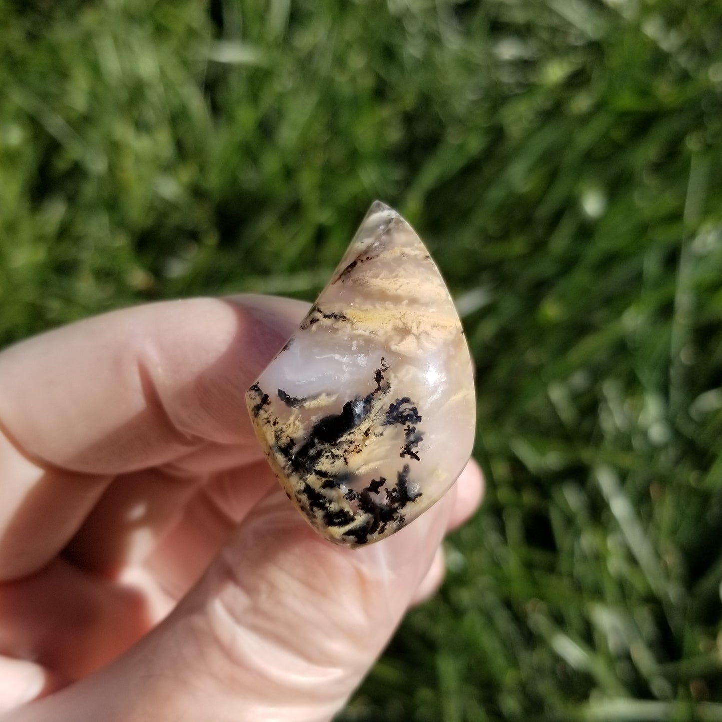 Dendritic Tiger Plume Agate Cabochon