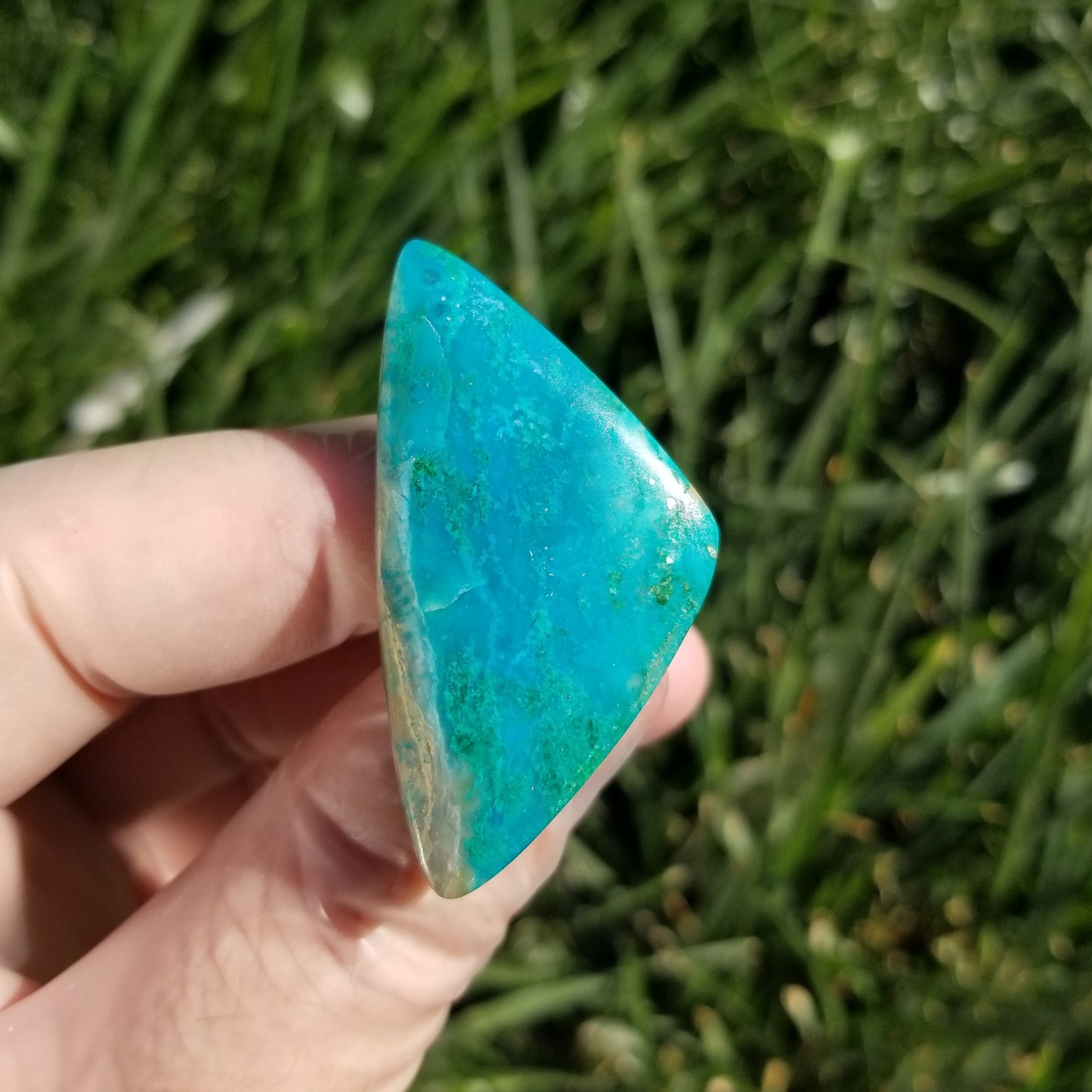 Large Chrysocolla Cabochon