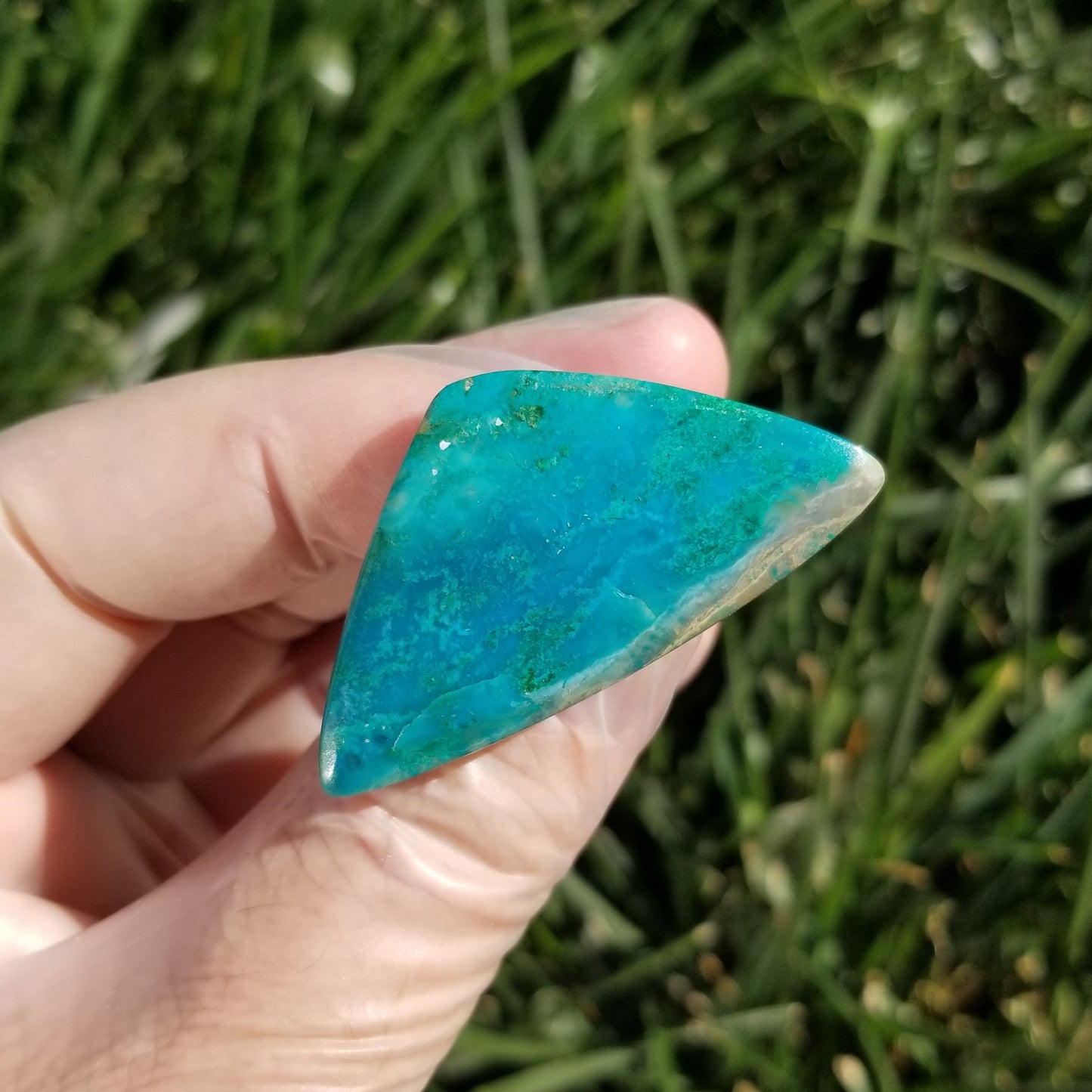 Large Chrysocolla Cabochon