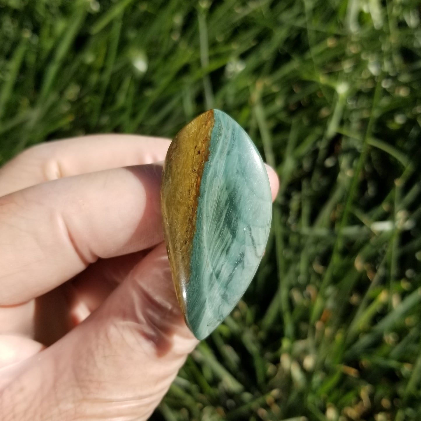 Large Freedom Jasper (Gary Green) Cabochon