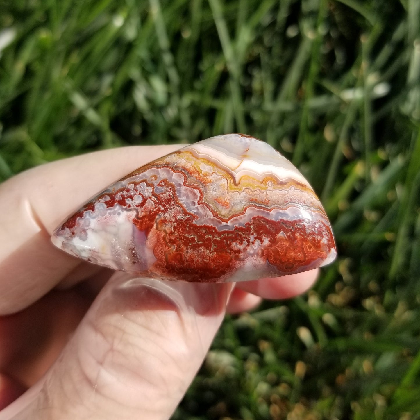 Large Laguna Lace Agate Cabochon