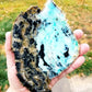 Blue Opalized Petrified Wood Slab
